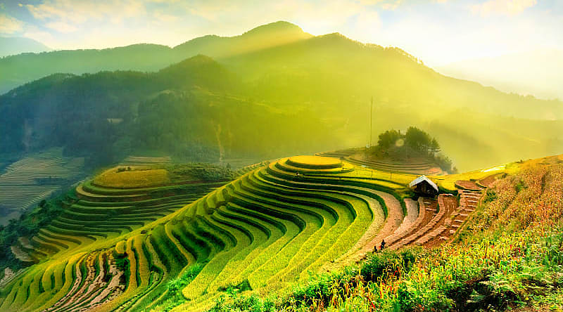 Rice field terraces at sunrise Rice field terraces at sunrise