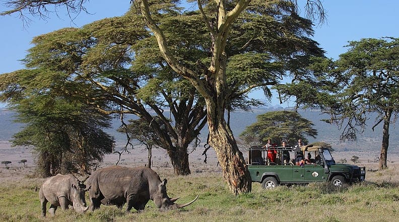 Sirikoi game dive at Lewa Conservancy, Kenya. Photo courtesy of Sirikoi Sirikoi game dive at Lewa Conservancy, Kenya