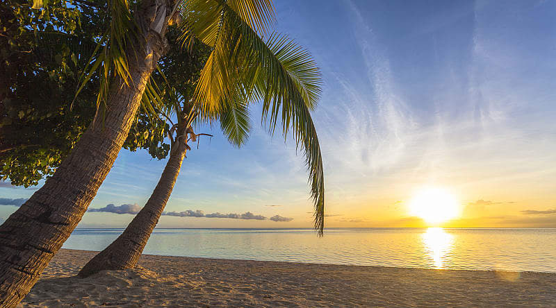 Enjoy a romantic beach picnic with your partner on a desert island in Fiji Enjoy a romantic beach picnic with your partner on a desert island