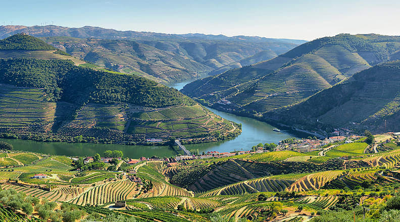 Douro River Valley, Portugal Vineyards in the Douro River Valley, Portugal
