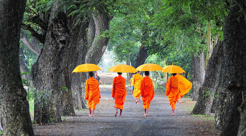 The Ultimate Cambodia Tour: History, Culture & Wonders The Ultimate Cambodia Tour: History, Culture & Wonders