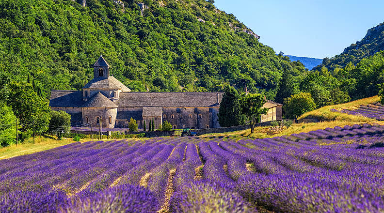 Abbaye de Senanque in Gordes, France Lavender fields surrounding Abbaye de Senanque in Gordes, France