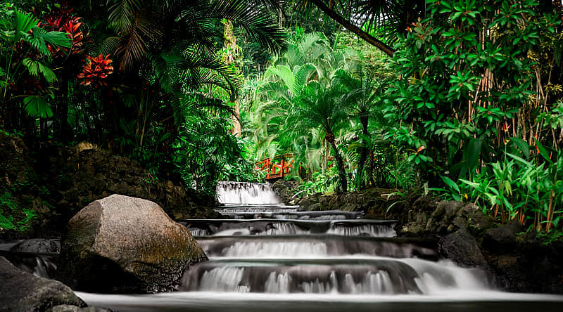 Natural thermal mineral springs at Tabacon Resort and Spa in Costa Rica Natural thermal mineral springs at Tabacon Resort and Spa in Costa Rica
