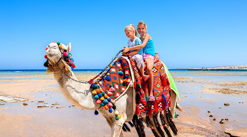 Sharm El Sheikh, Egypt Sisters riding camel on the beach in Egypt
