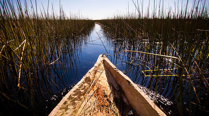 Mokoro boat on the Okavango Delta, Botswana View of the Okavango Delta from a mokoro canoe, Botswana
