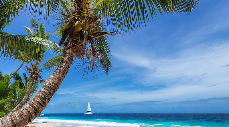 Indulge in lavish resort living on a private beach surrounded by pristine ocean and marvelous white sand Indulge in lavish resort living on a private beach surrounded by pristine ocean and marvelous white sand
