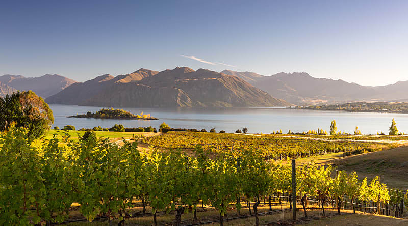 Savor great taste while wine tasting in Otago, Wanaka region. Savor great taste while wine tasting in Otago, Wanaka region.