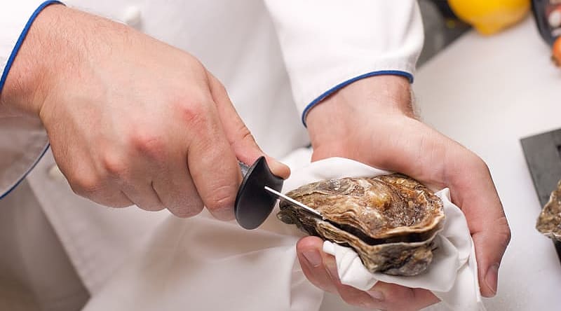 Chef shucking oysters in Australia Chef shucking oysters in Australia