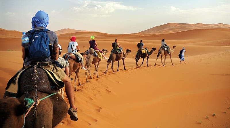 Camel caravan in the Sahara Desert, Morocco Camel caravan in the Sahara Desert, Morocco