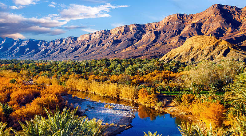 Date palms and blue river in Morocco Date palms and blue river in Morocco