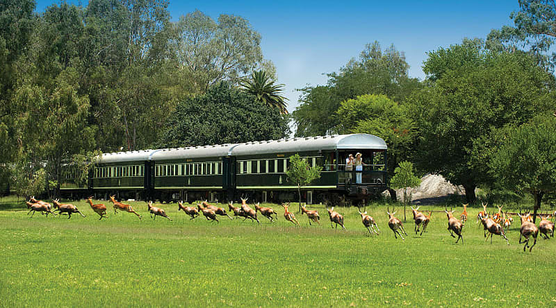 Photo Courtesy of Rovos Rail Couple watching a herd of antelope from the Rovos Rail