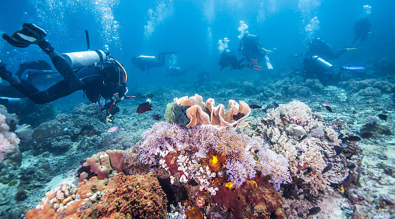 Scuba divers in Fiji Scuba divers in Fiji