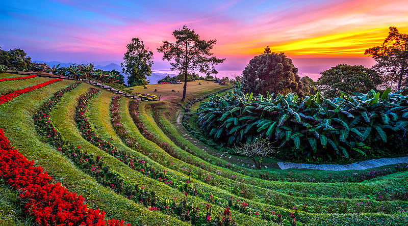Colorful sunrise at Huai Nam Dang National Park with rows of flowers and mountains in the background, Thailand Colorful sunrise at Huai Nam Dang National Park with rows of flowers and mountains in the background, Thailand