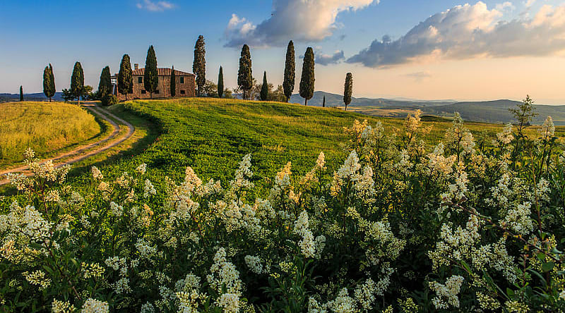 House surrounded by green fields and cypress trees in Tuscany, Italy House surrounded by green fields and cypress trees in Tuscany, Italy