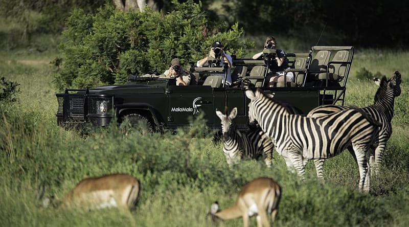 Photo Safari in Sabi Sands. Photo courtesy of Mala Mala Camp MalaMala photography safari. Photo courtesy of MalaMala Camp