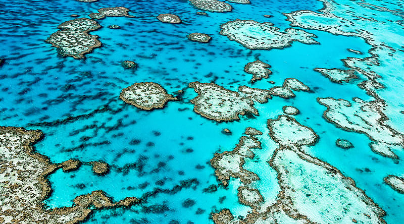 The Great Barrier Reef in Queensland, Australia The Great Barrier Reef in Queensland, Australia