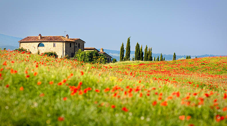Tuscany, Italy Beautiful poppies surrounding a villa in Tuscany, Italy