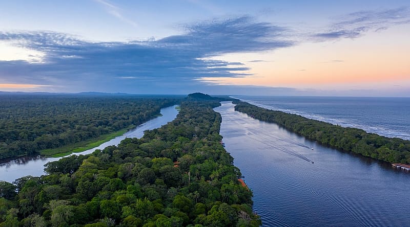 Stunning jungle along the Caribbean coast and the Tortuguero River. Tortuguero National Park, Costa Rica Stunning jungle along the Caribbean coast and the Tortuguero River. Tortuguero National Park, Costa Rica