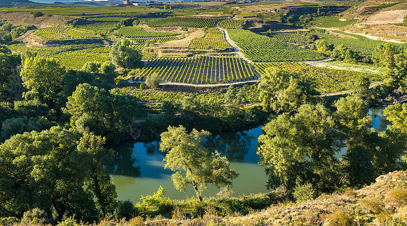 View of the vineyards and the village of San Vicente de la Sonsierra, Rioja, Spain View of the vineyards and the village of San Vicente de la Sonsierra, Rioja, SpainView of the vineyards and the village of San-Vicente-de-la-Sonsierra, Rioja, Spain