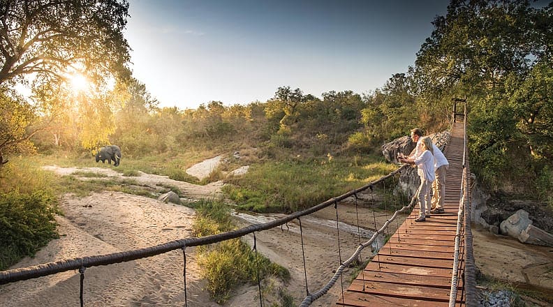 Luxury South African Safari - Dulini Lodge Watching elephants from the bridge at Dulini Lodge in South Africa