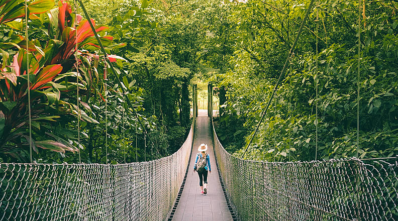 Monteverde, Costa Rica Tourist hiking across hanging bridge in Monteverde, Costa Rica