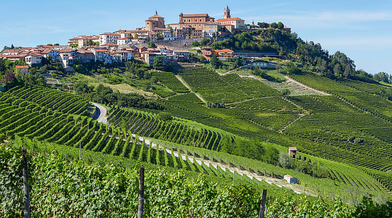 La Morra, Italy La Morra surrounded by vineyards