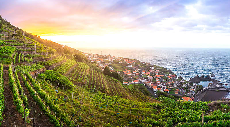 Madeira, view of the coast and vineyards in Portugal Madeira, view of the coast and vineyards in Portugal