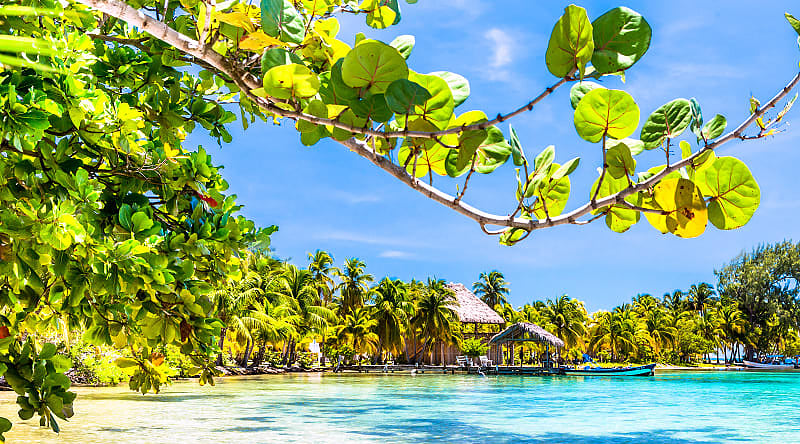Tropical beach in Caye Caulker in Belize Tropical beach in Caye Caulker in Belize