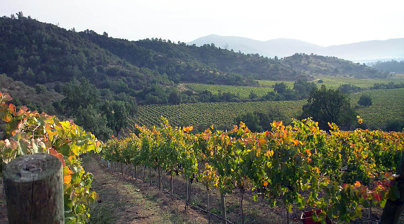 Casablanca vineyard and valley, Chile Casablanca vineyard and valley, Chile