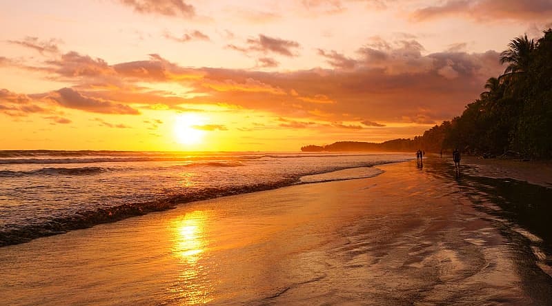 Marino Ballena National Park at sunset in Costa Rica Marino Ballena National Park at sunset in Costa Rica