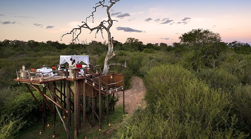 Romantic Honeymoon at Lion Sands Chalkley Treehouse, MORE Family Collection Honeymoon couple at Lion Sands Chalkley Treehouse, Sabi Sands, South Africa