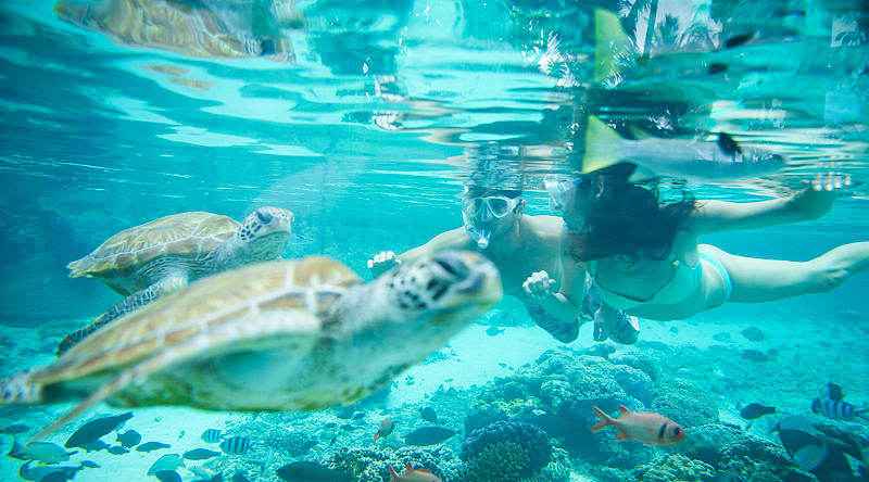 Bora Bora, French Polynesia. Photo courtesy of Tahiti Tourism Couple snorkeling with turtles in Bora Bora, French Polynesia
