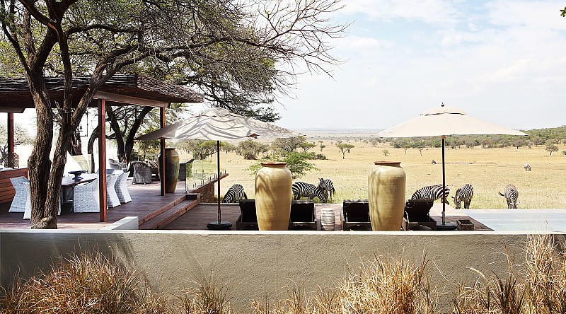Photo courtesy: Singita Serengeti House in Grumeti, Tanzania Zebras by a Luxury lodge in Serengeti