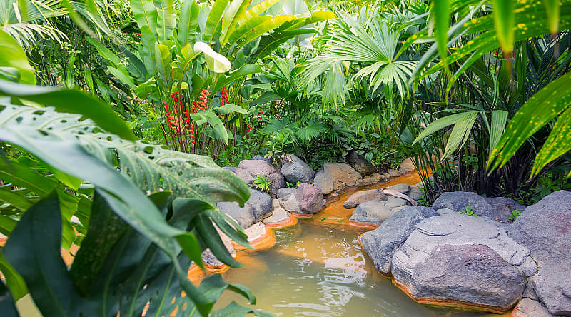 Relax in the natural hot springs of Arenal while inhaling the misty air of the region, Costa Rica Relax in the natural hot springs of Arenal while inhaling the misty air of the region, Costa Rica