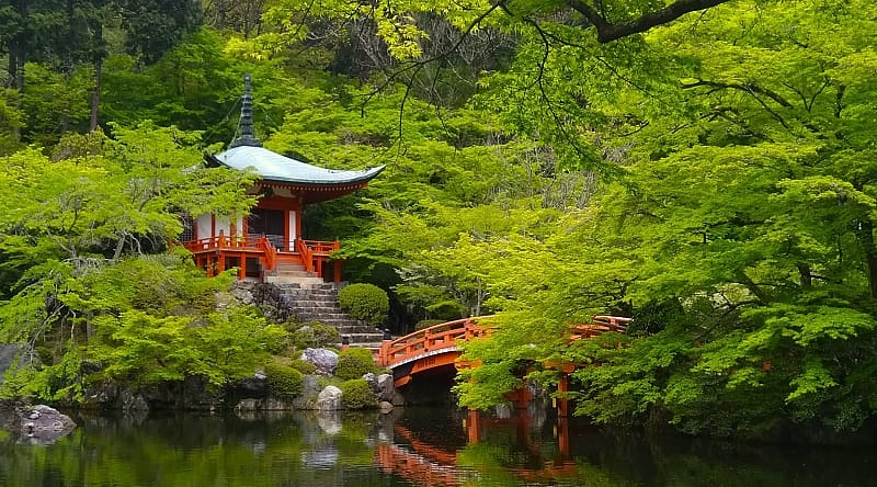 A Family Friendly Japan Tour: A Lifetime of Memories Japan Kyoto Temple Daigo ji Japan