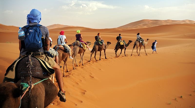 Camel caravan in the Sahara Desert, Morocco Camel caravan in the Sahara Desert, Morocco