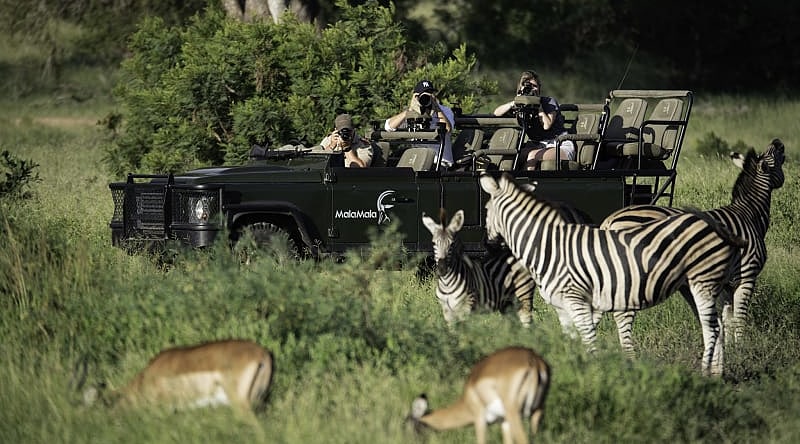 Photo Safari in Sabi Sands. Photo courtesy of Mala Mala Camp MalaMala photography safari. Photo courtesy of MalaMala Camp