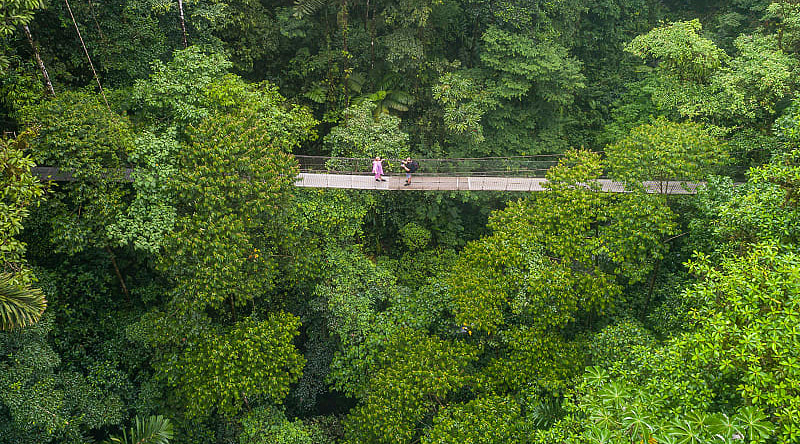 La Fortuna, Costa Rica Couple on a suspension bridge among the tropical splendor of Costa Rica