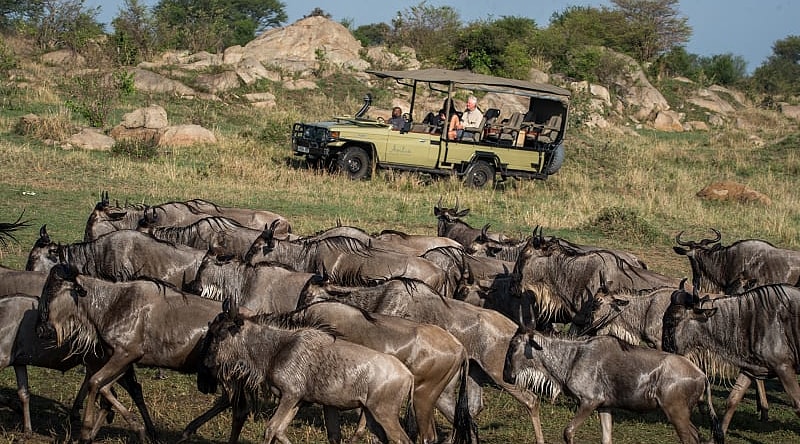 Great Migration in Eastern Serengeti, Tanzania
