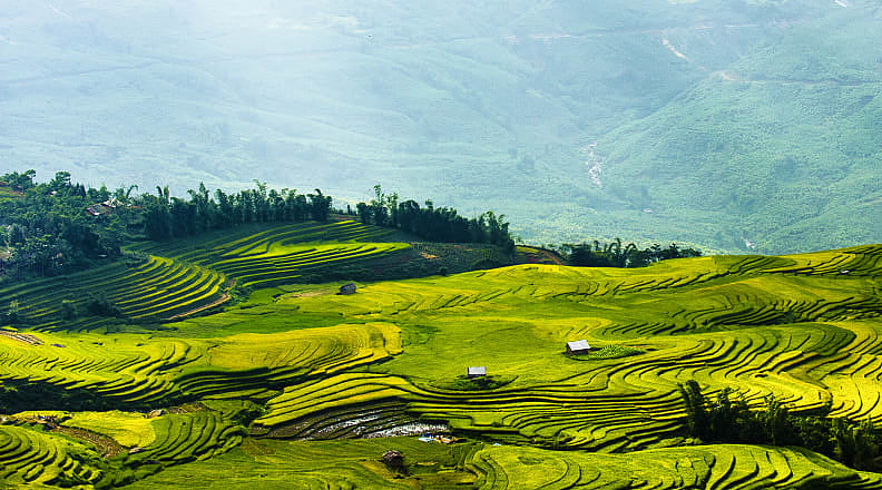 Rice fields terraces in Sapa, Vietnam. Rice fields terraces in Sapa, Vietnam.