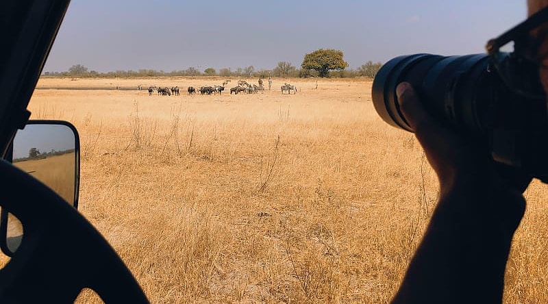 Photographer in Botswana Photographer in Botswana