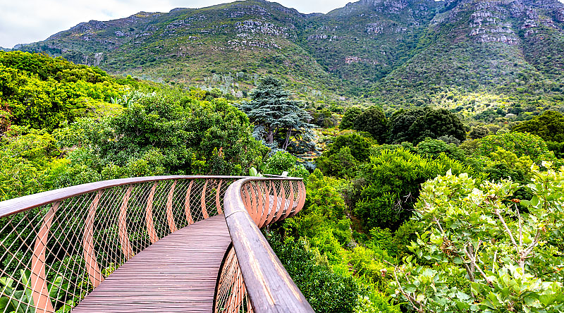 Kirstenbosch National Botanical Garden, Cape Town, South Africa Kirstenbosch National Botanical Garden, Cape Town, South Africa