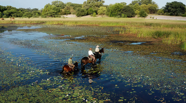Okavango Delta, Botswana Horseback safari in the Okavango Delta