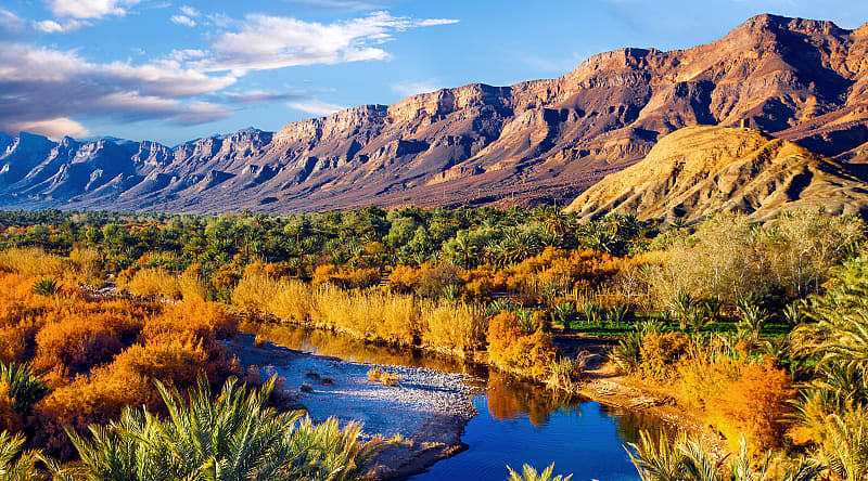 Date palms and blue river in Morocco Date palms and blue river in Morocco