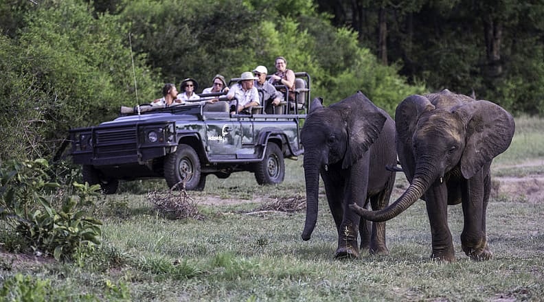 Photo courtesy of MalaMala Game Reserve Game drive in MalaMala Game Reserve. Photo courtesy of MalaMala Game Reserve