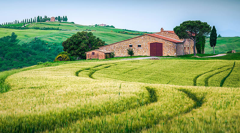 Tuscany, Italy Tuscany countryside with green grain fields and rustic farmhouse