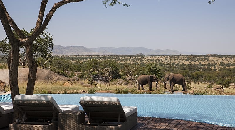 Photo Courtesy of Four Seasons Serengeti / Richard Waite View of elephants from the pool at the Four Seasons Serengeti