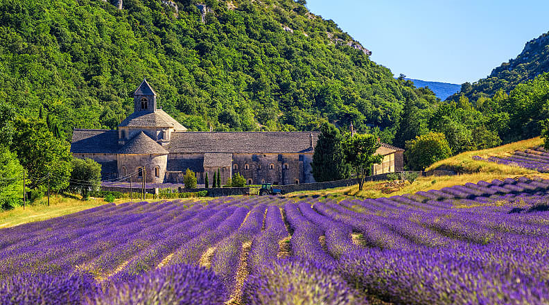Abbaye de Senanque in Gordes, France Lavender fields surrounding Abbaye de Senanque in Gordes, France