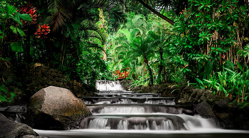 Natural thermal mineral springs at Tabacon Resort and Spa in Costa Rica
