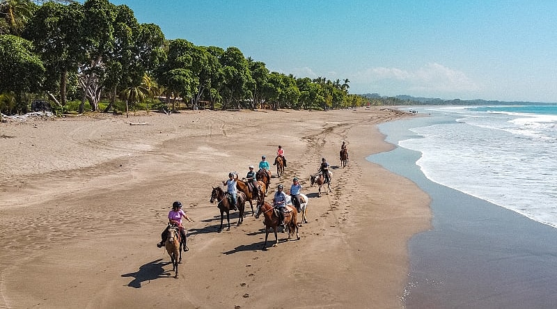 Enjoy the serenity of the Caribbean on this journey, alternating between outdoor activities and relaxation. Enjoy the serenity of the Caribbean on this journey, alternating between outdoor activities and relaxation.